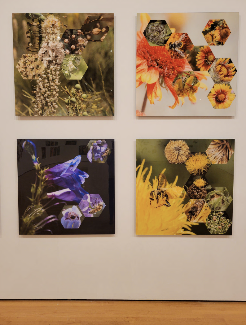 Screenshot 2025-12-03 at 8.31.51 PM.png