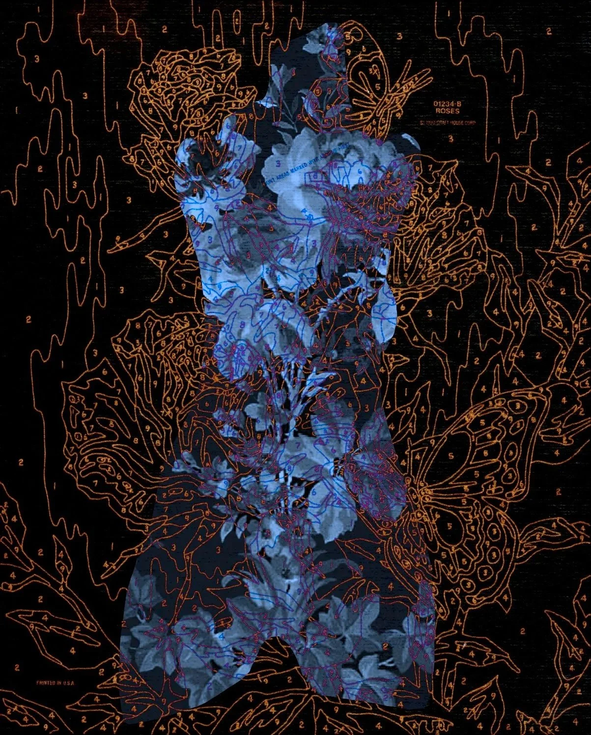 Amazon Rose 4, 2004, Digital print, 50 x 40" Collection: Ruth Chandler Williamson Gallery, Scripps College