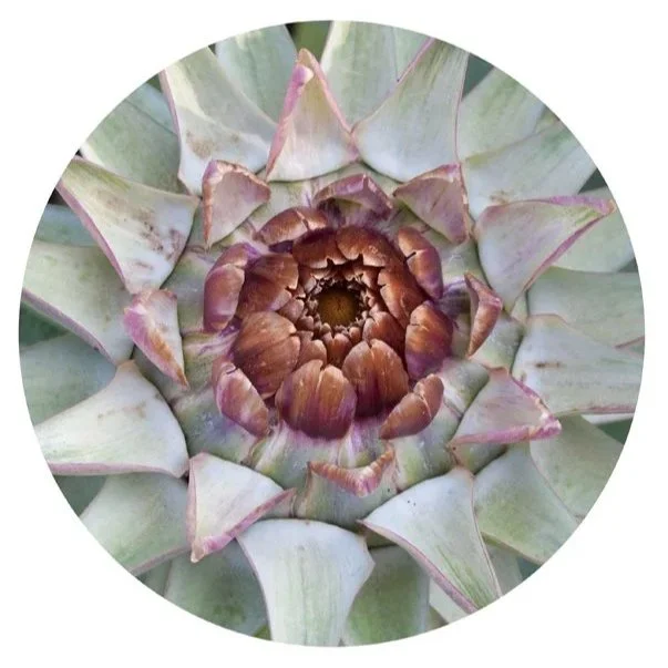 Mandala, 2010, Archival digital print mounted on shaped metal with plexi faced with plexi, 30" diameter; (Ltd edition)
