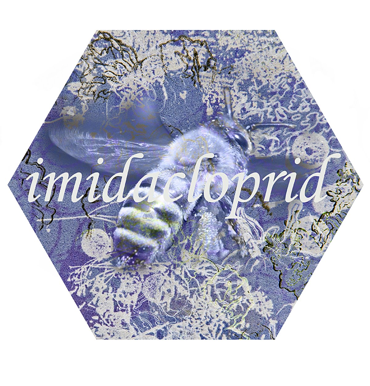 A hexagonal graphic featuring a close-up of a bee on a flower with a purple and blue color scheme and the word 'midacloprid' overlaid.