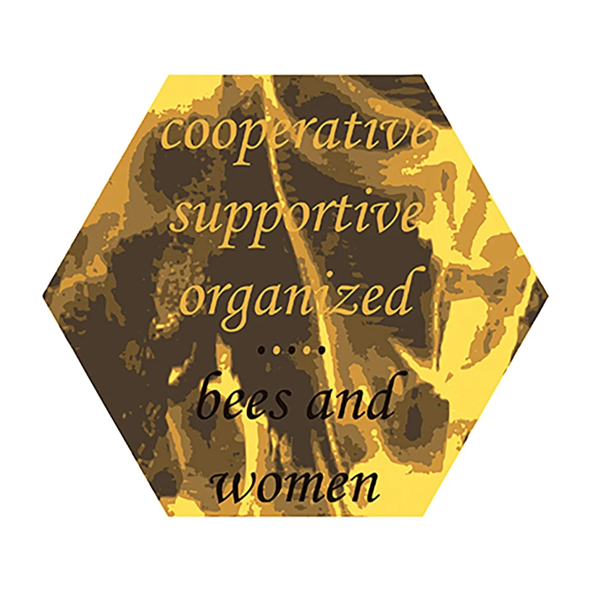 Hexagonal shape with a marbled brown and yellow pattern, displaying the text 'cooperative, supportive, organized... bees and women'.