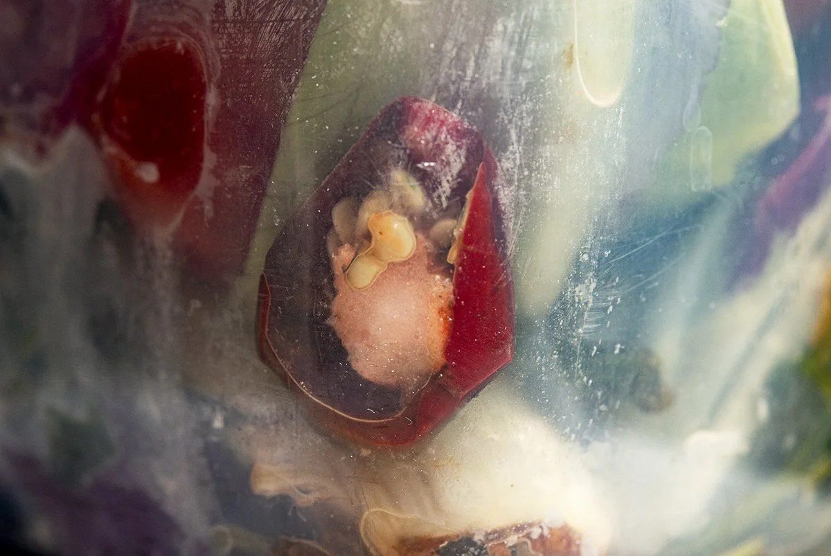 Wound, 2020,
Archival pigment print,
24 x 36 inches