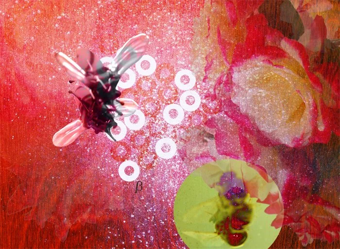 Feminist Utopias: New Constellations, "Beeroses," 2002. Edition 6.
Output using an Epson 9600; printed on Epson photo lustre paper, plexi faced and mounted on Sintra, 40 x 54.5 "