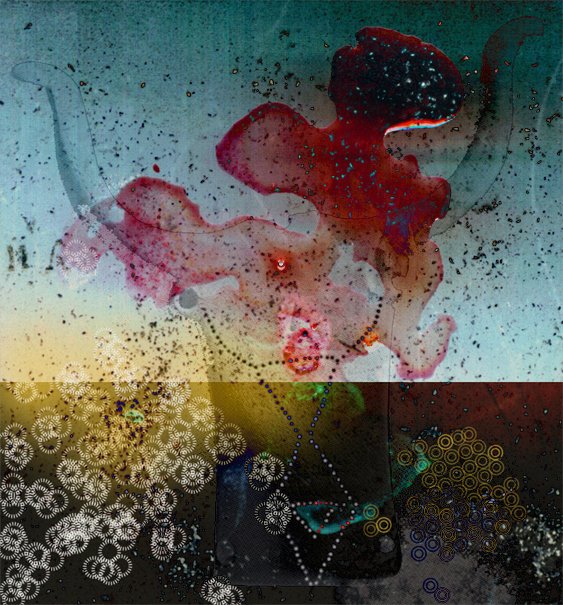 Bucrania 4, 2002-03, Archival pigment print, 24 x 22"