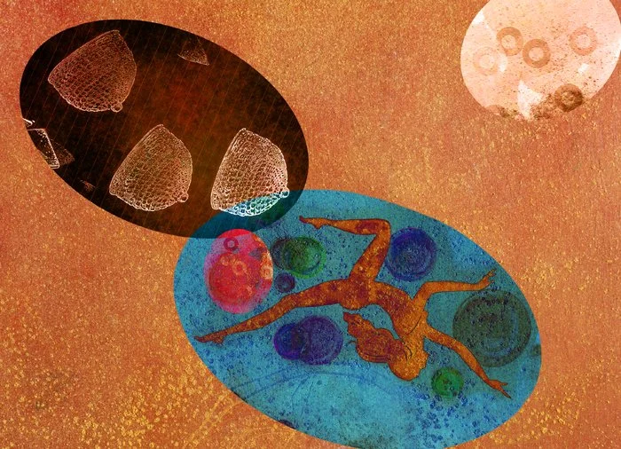 Feminist Utopias: New Constellations, "Pods and Red," 2002. Edition 6.
Output using an Epson 9600; printed on Epson photo lustre paper, plexi faced and mounted on Sintra, 40 x 55"