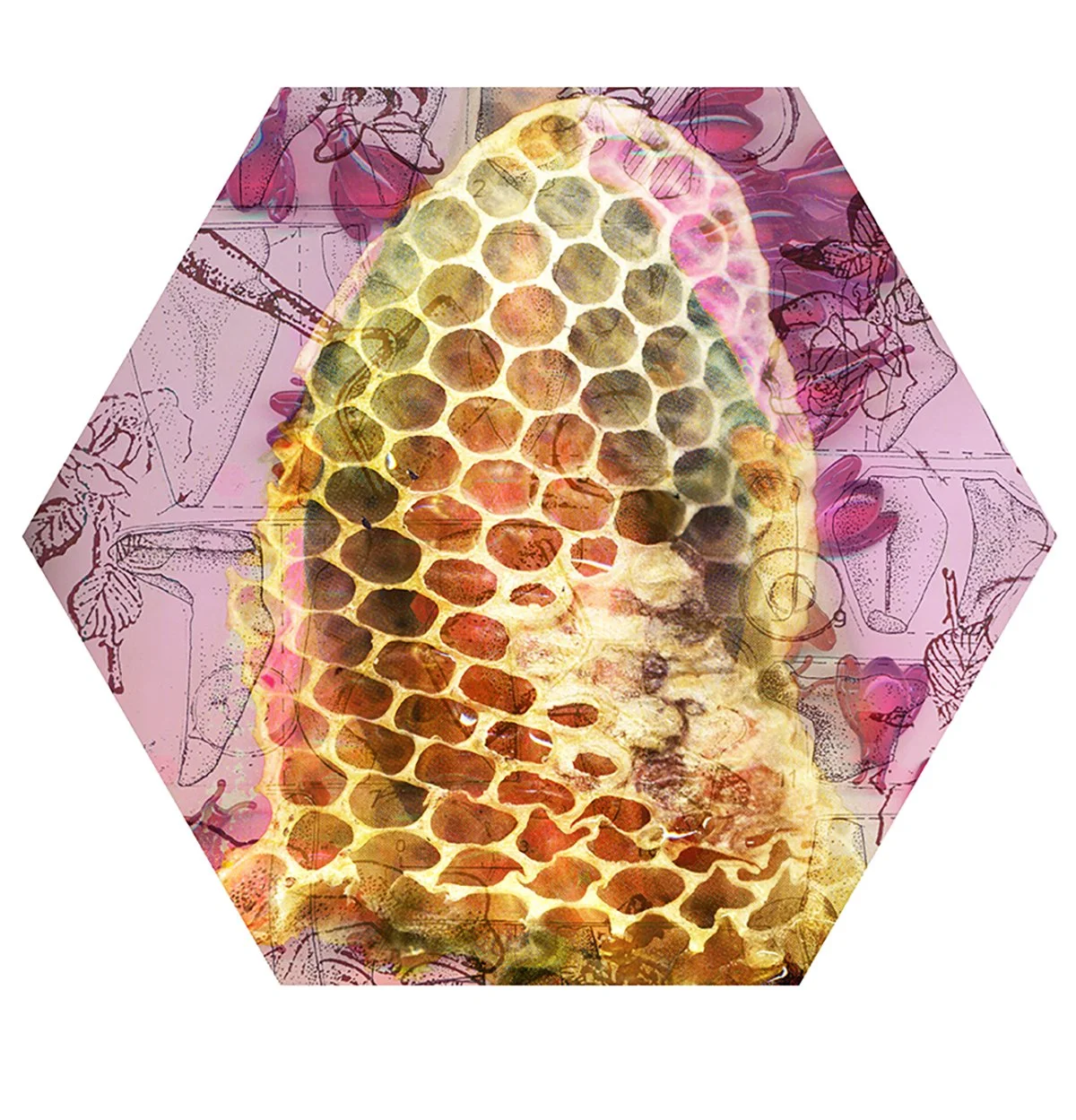 Abstract digital artwork featuring a honeycomb pattern in the center with sketches of insects and flowers in the background.