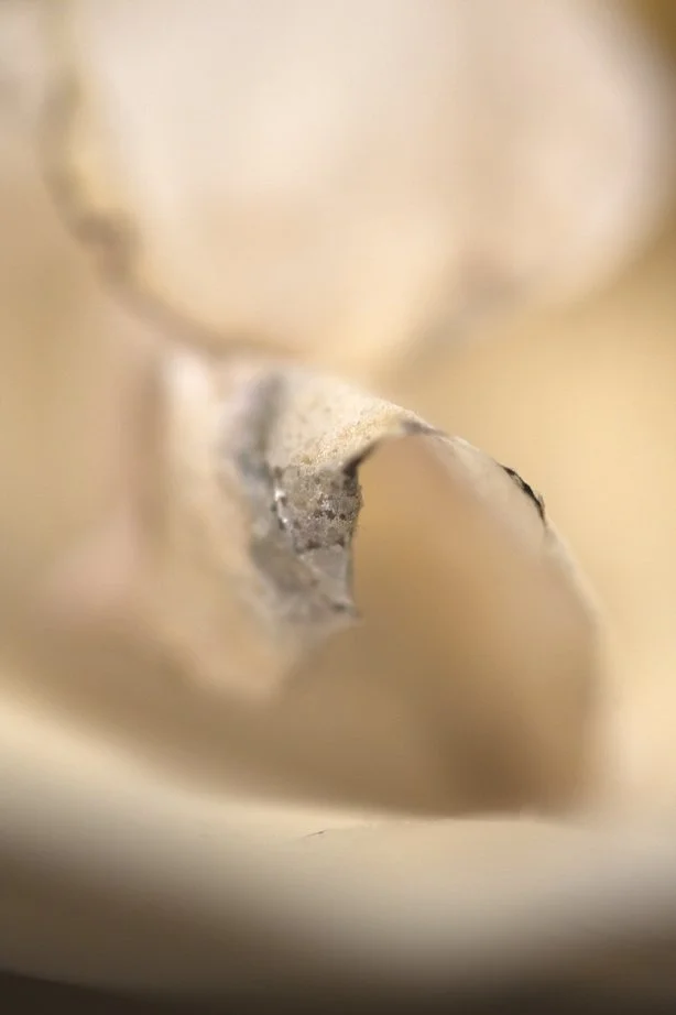 Close-up image of a sharpened wooden pencil with a in-focus tip.