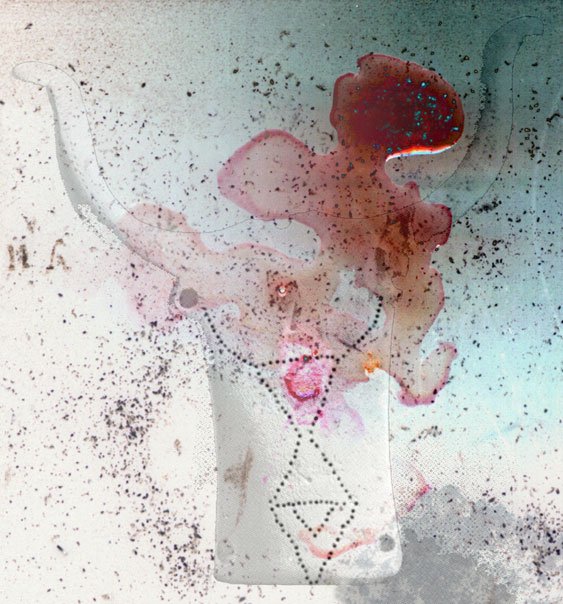 Bucrania 6, 2002-03, Archival pigment print, 24 x 22"