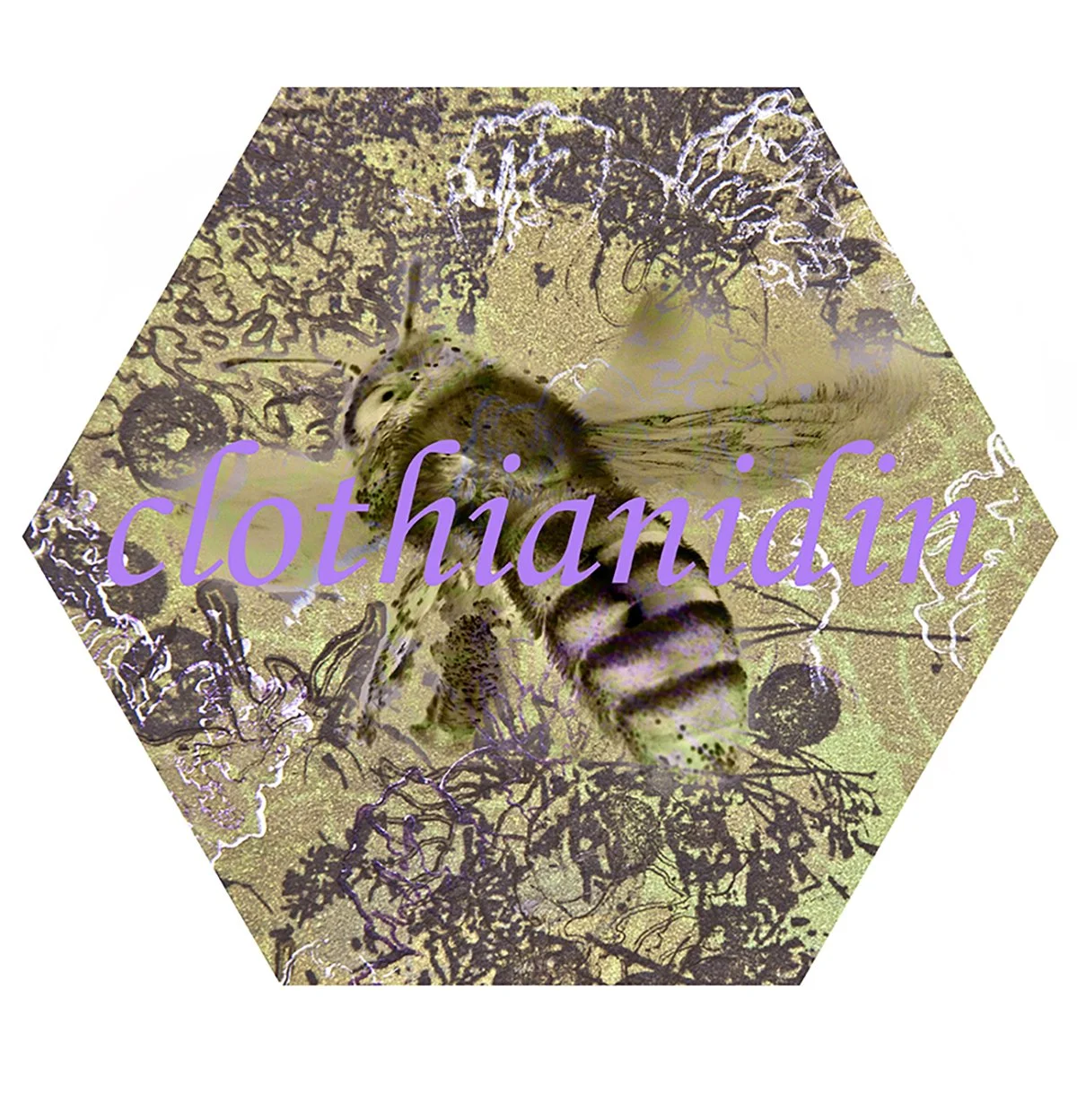A hexagonal design featuring a close-up image of a bee on flowers with the word 'clothianidin' overlaid in purple text.