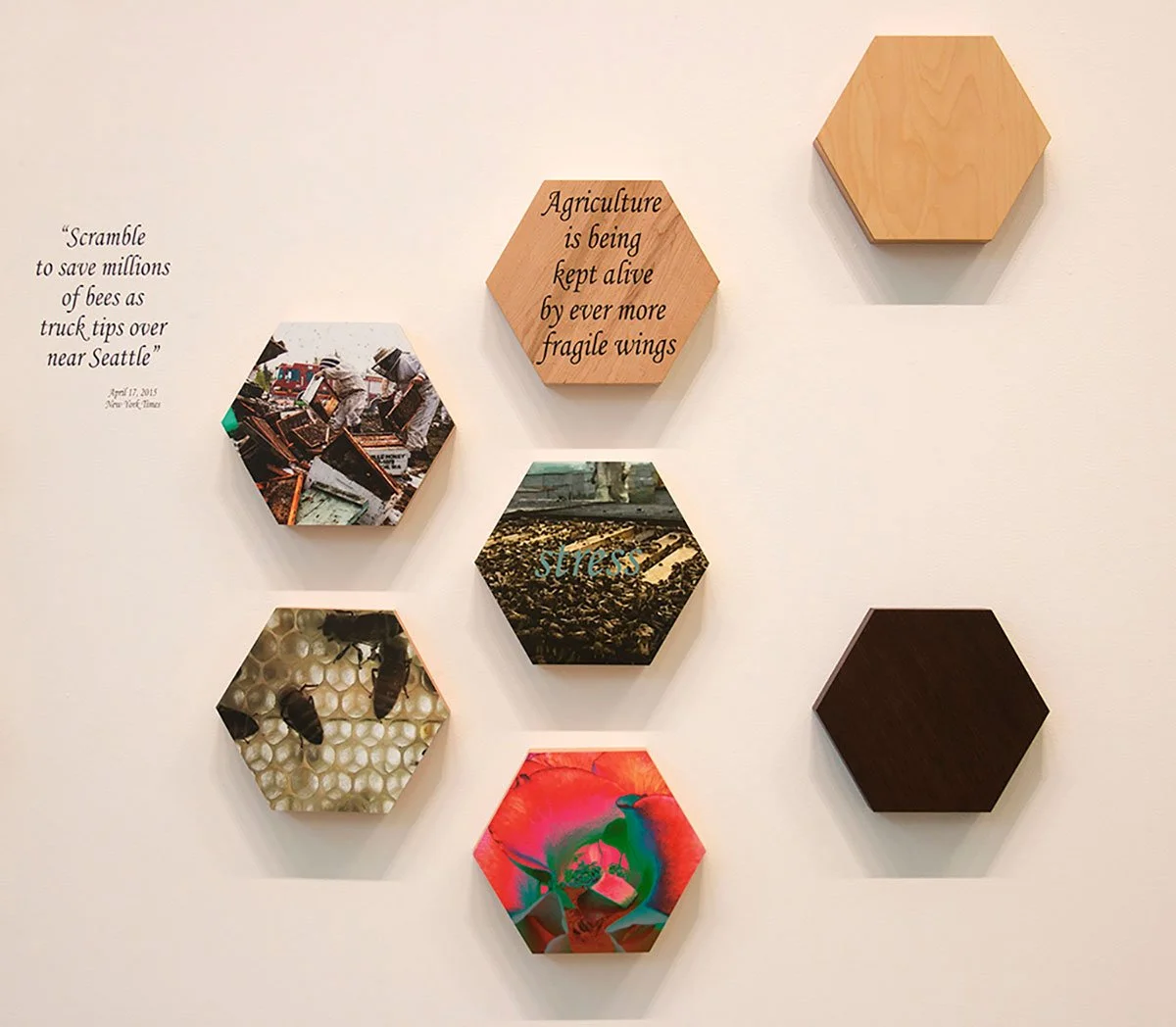 Wall display featuring hexagonal plaques with quotes, images, and textures about bees, agriculture, stress, and environmental issues.