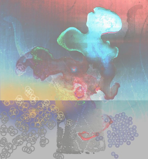 Bucrania 9, 2002-03, Archival pigment print, 24 x 22"