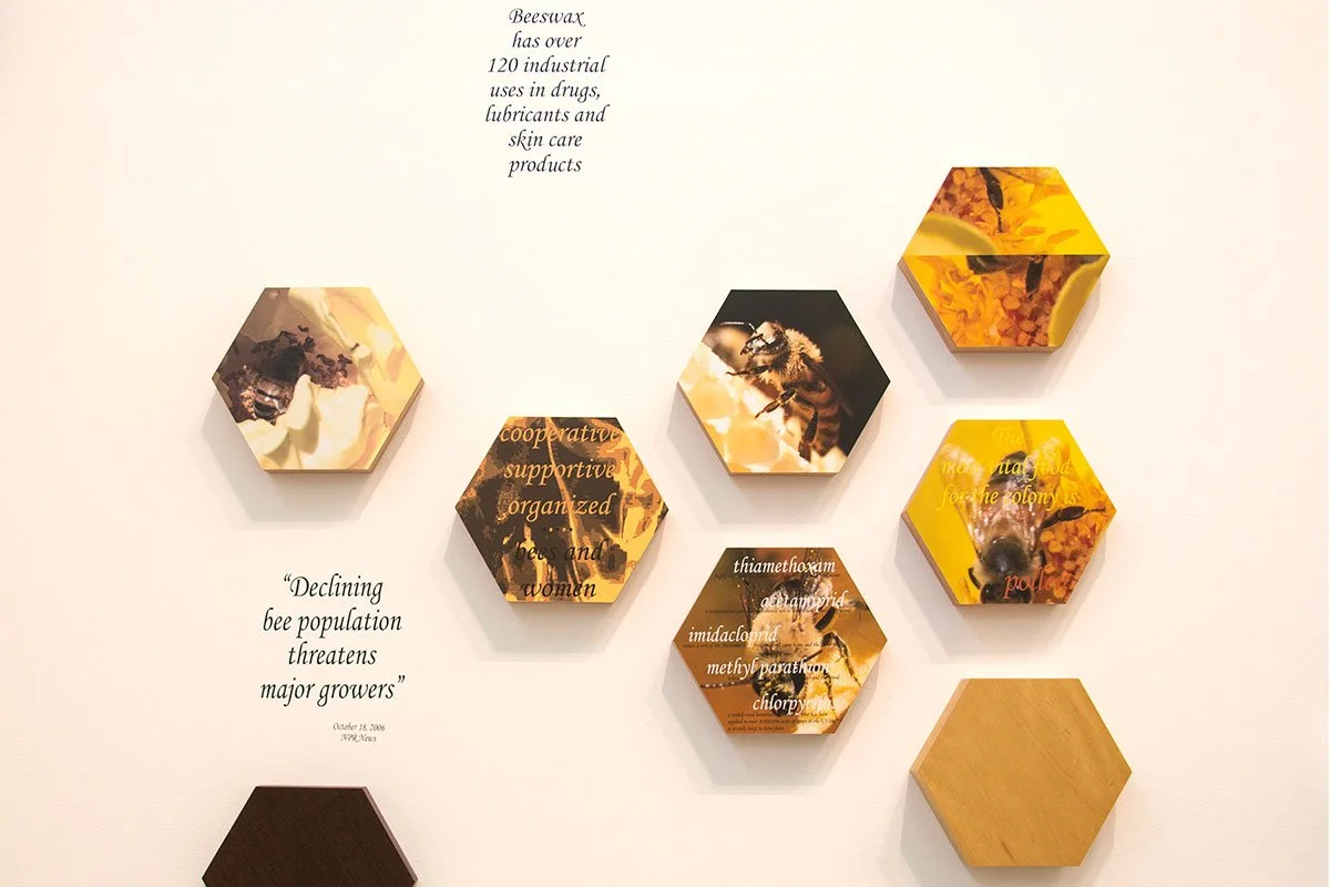 Display board with hexagonal images of bees and honeycomb patterns, some containing text about bees, beekeeping, and threats to bees, along with a quote about declining bee populations.