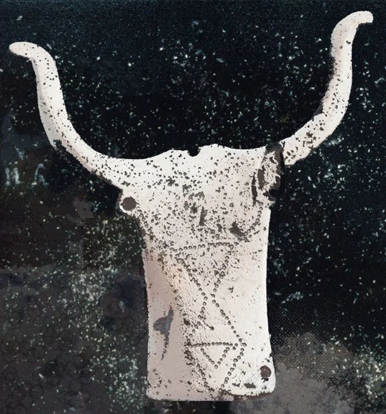 Bucrania 8, 2002-03, Archival pigment print, 24 x 22"