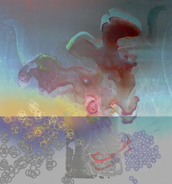 Bucrania 11, 2002-03, Archival pigment print, 24 x 22" (Private Collection)