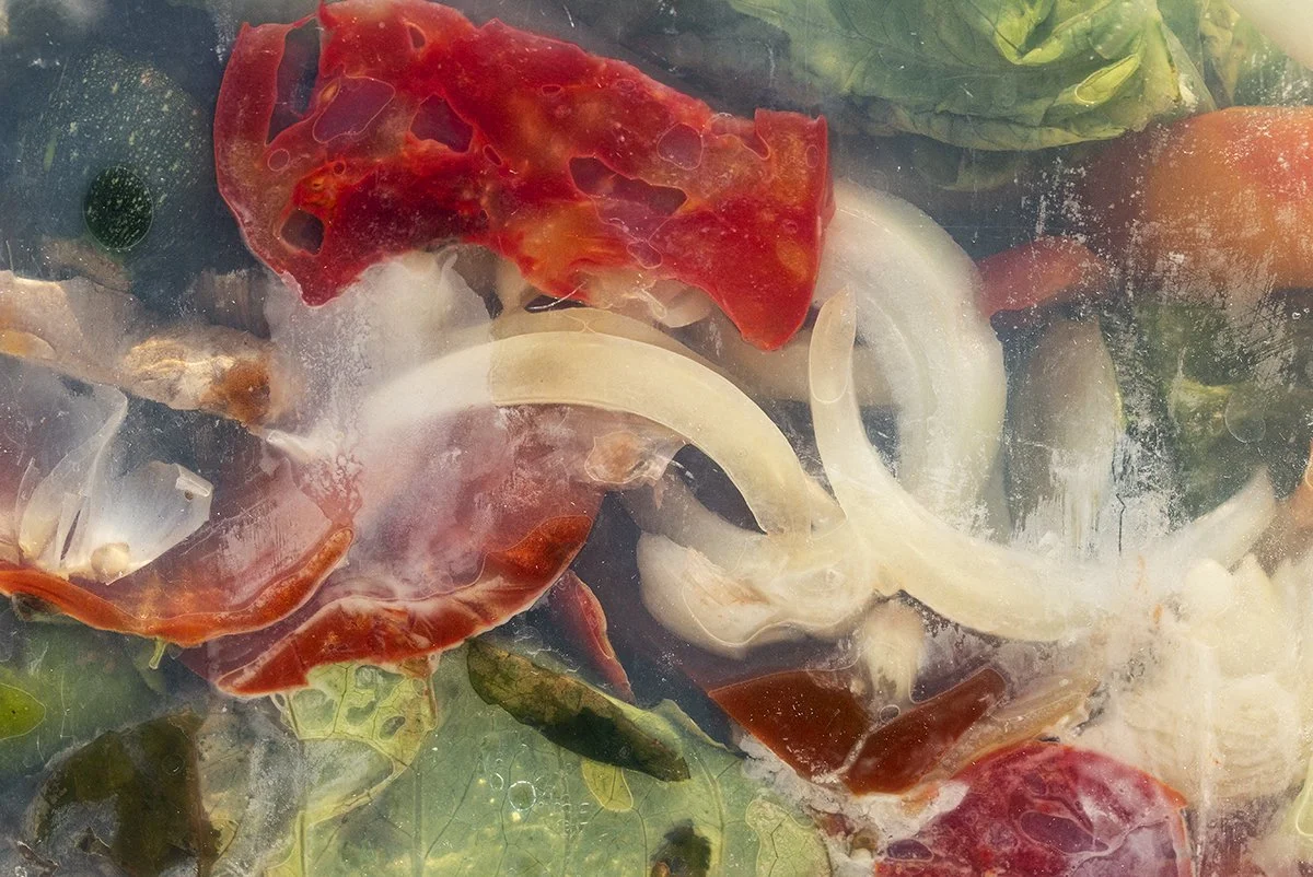 Onion Eels, 2020, Archival pigment print, 40 x 60 inches