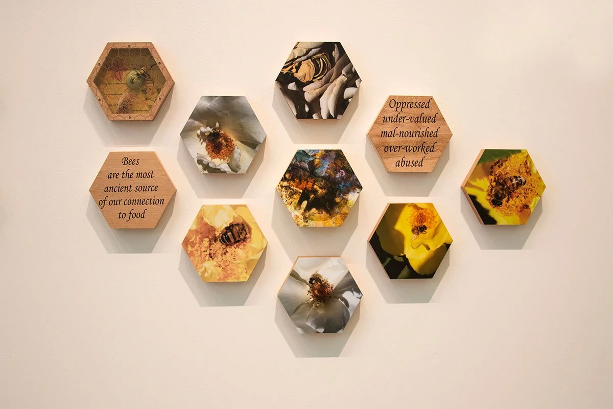 Decorative wall art featuring honeybee themes with hexagonal frames, some containing bee images, flower quotes about bees, and abstract patterns. The frames are arranged in a honeycomb pattern on a white wall.