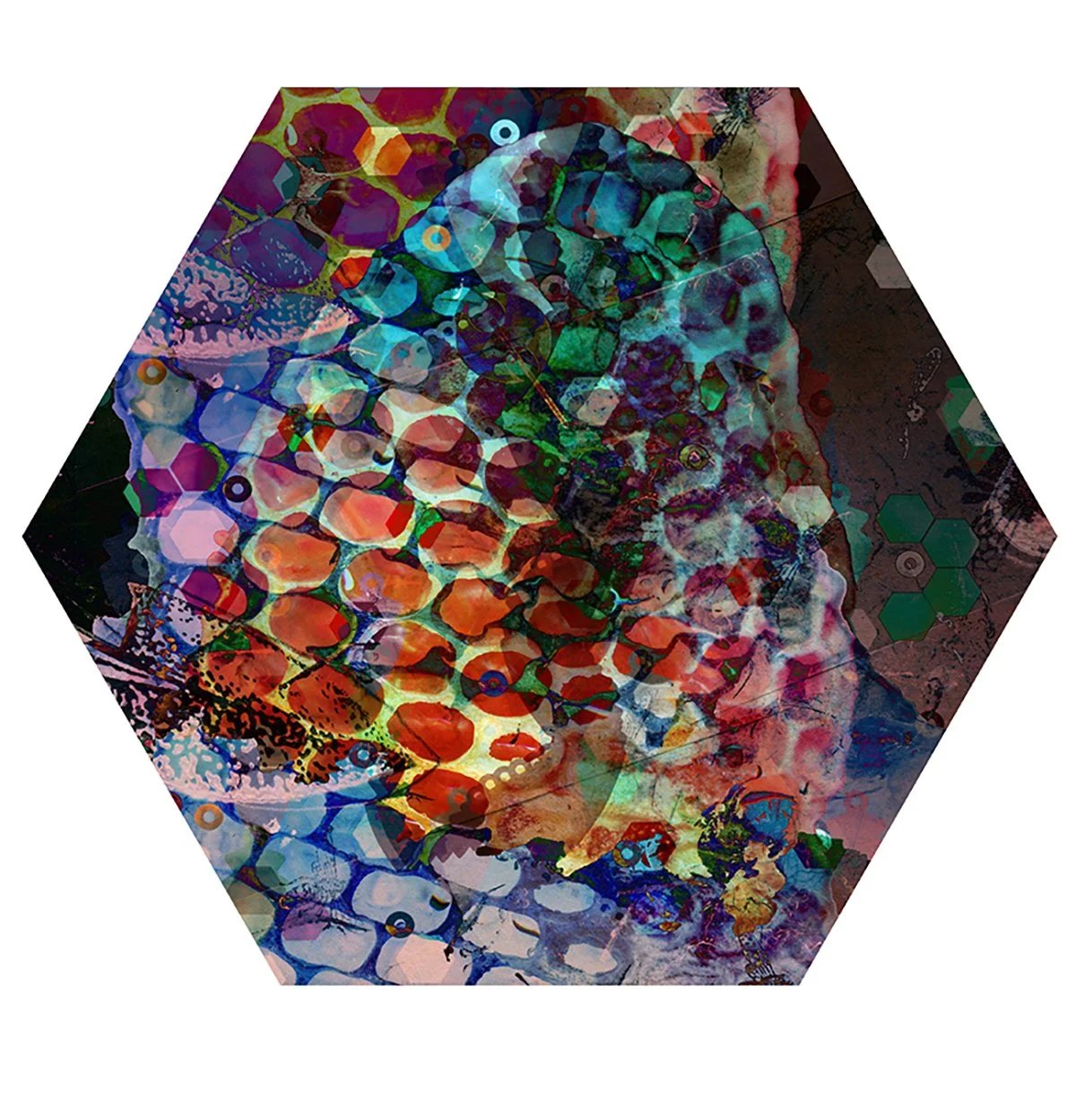Abstract digital artwork with colorful patterns, hexagonal shapes, and animal images, presented in a hexagonal frame.