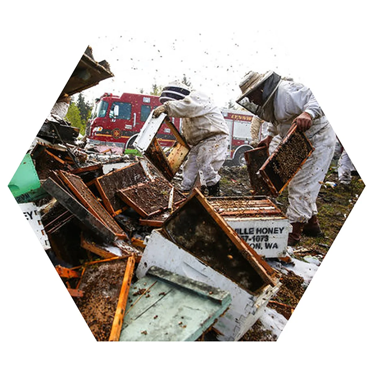 Beekeepers in white protective suits and veiled hats collecting honey on a disaster site with fire trucks in the background.
