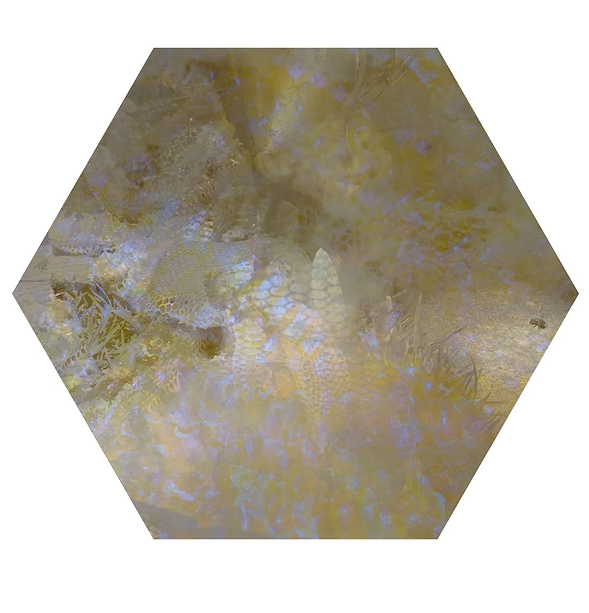 Close-up of a honeycomb with bees, viewed through a hexagonal lens.