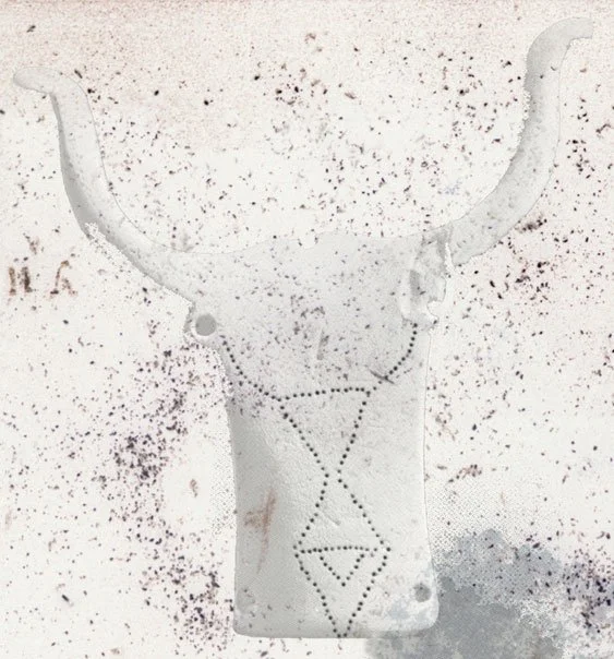 Bucrania 7, 2002-03. Archival pigment print, 24 x 22"
