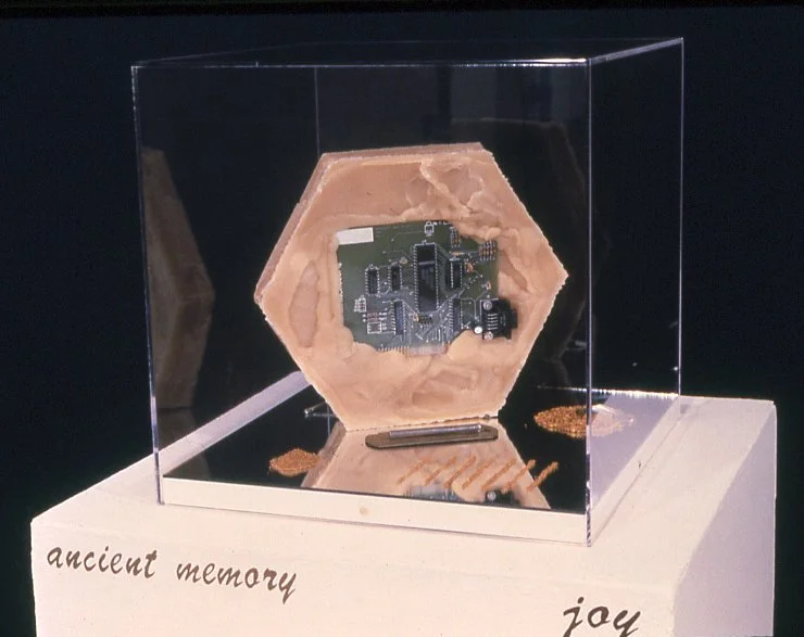 SofGancient copy.jpg