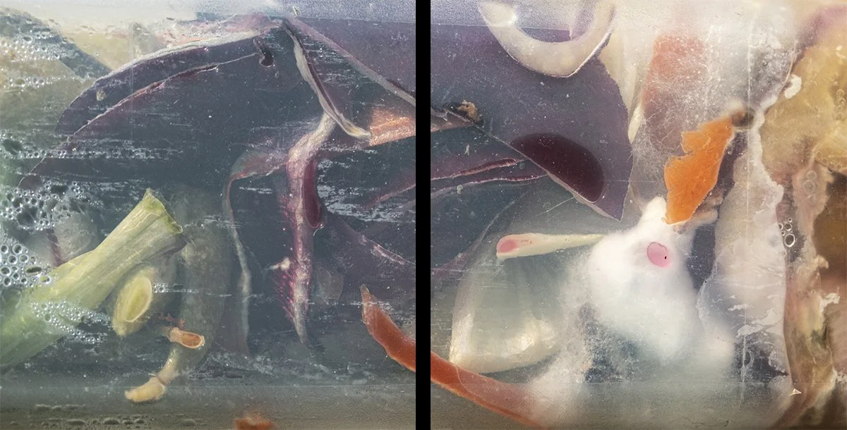 Passage, 2020,
Archival pigment print,
40 x 80 inches