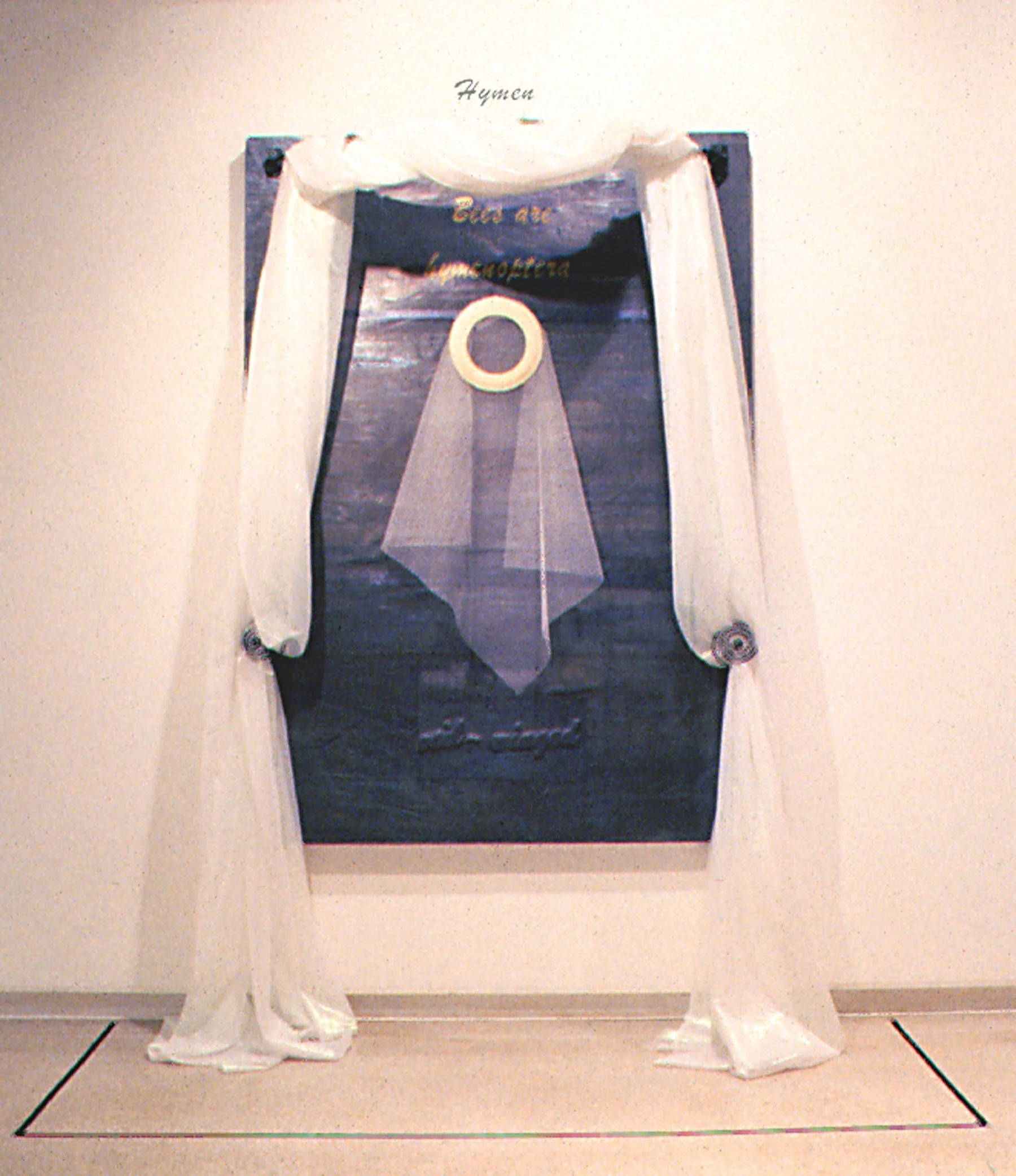 Hymen, 7 X 5 ft, mixed media on lead panel