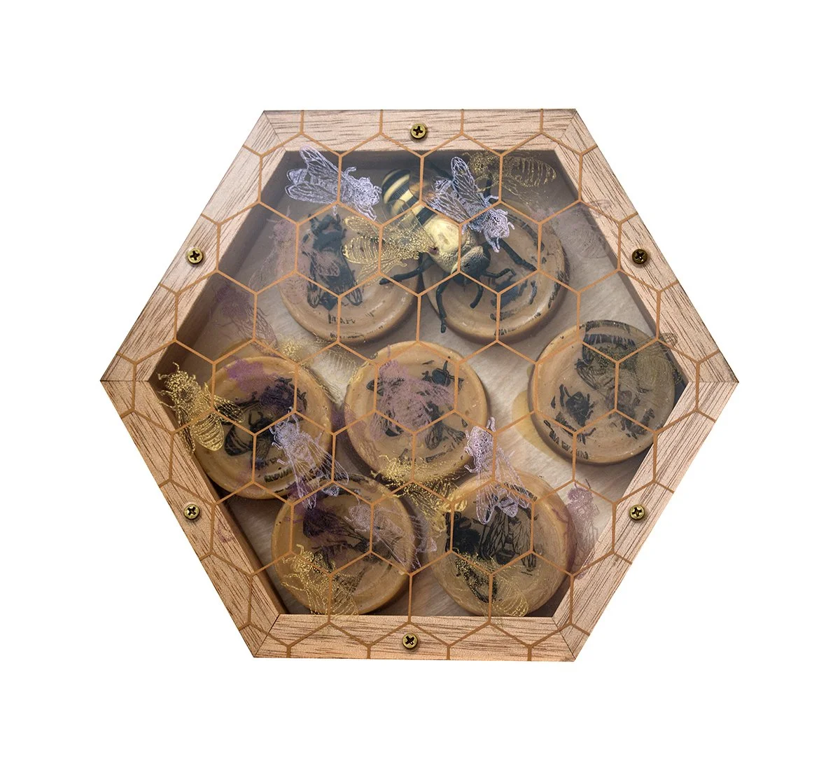 Wooden hexagon-shaped bee and honeycomb display box with honey jars and bee illustrations under a mesh lid.