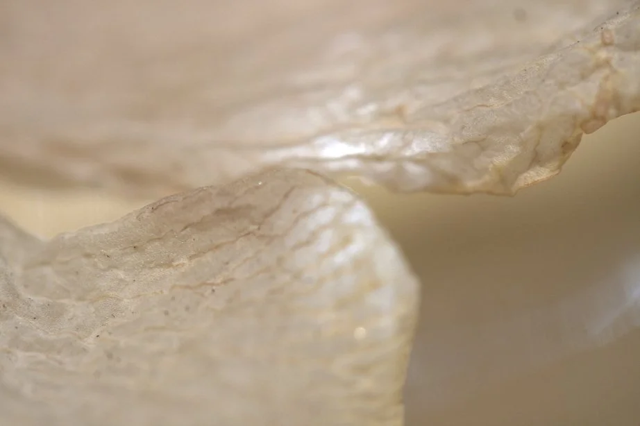 Close-up of a textured, cream-colored fabric or paper material with soft lighting.