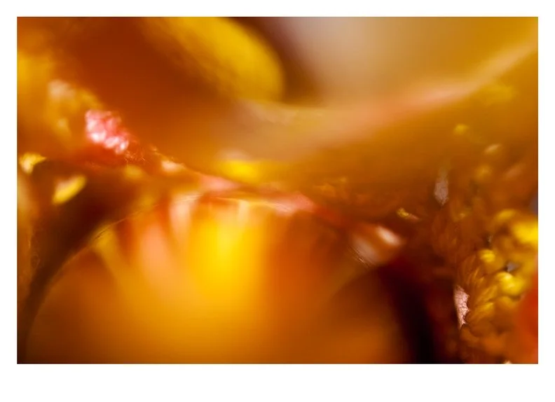 Close-up of a shiny, amber-colored object, possibly a fruit or a glass ornament, with blurred background.