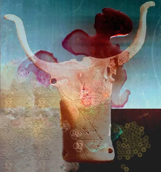 Bucrania 2, 2002-03, Archival pigment print, 24 x 22" (Private Collection)