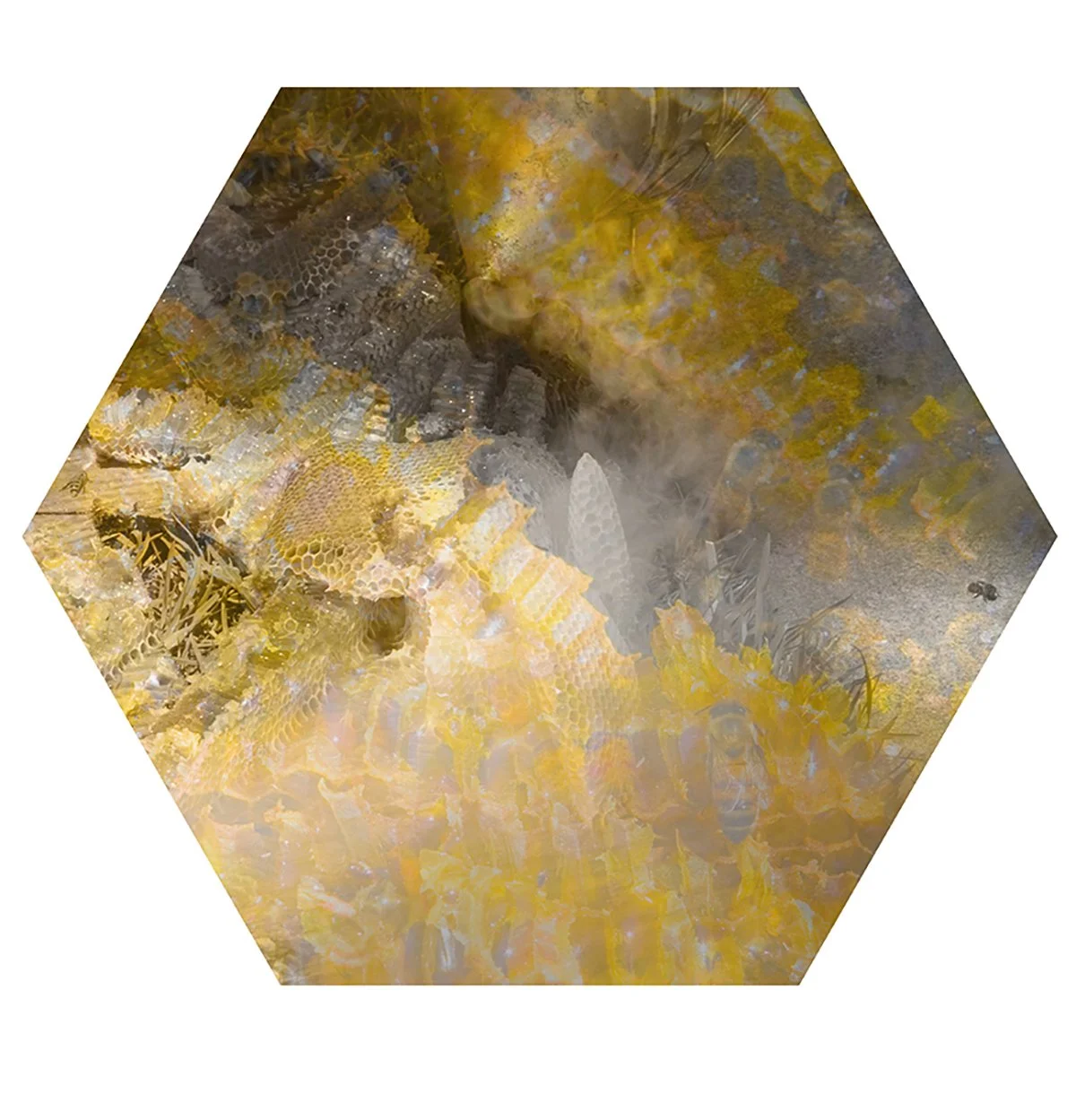 Close-up of honeycomb with bees in a hive, surrounded by beeswax, honey, and bees.