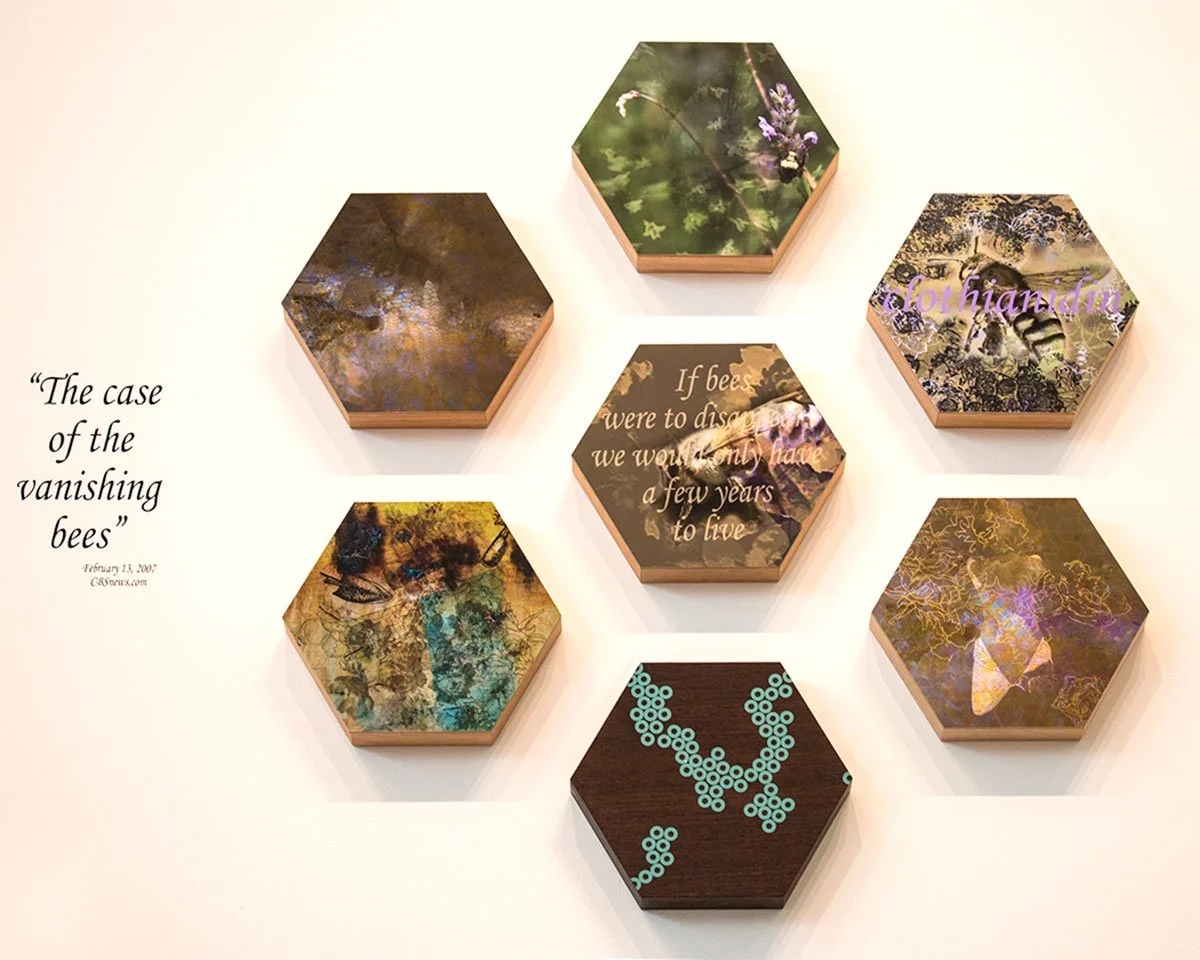Six hexagonal boxes with artistic designs arranged in a pattern on a white wall, one central box contains a quote about bees, and there is a text quote on the wall that reads 'The case of the vanishing bees'.