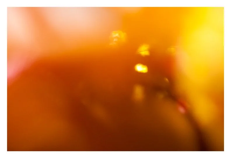 Blurred close-up image with warm yellow and orange tones, with some bright spots and vague shapes.