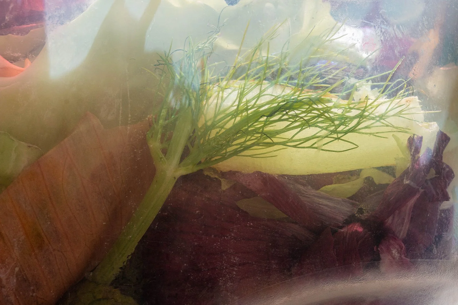 The Light In the Creek, 2020,
Archival pigment print,
24 x 36 inches