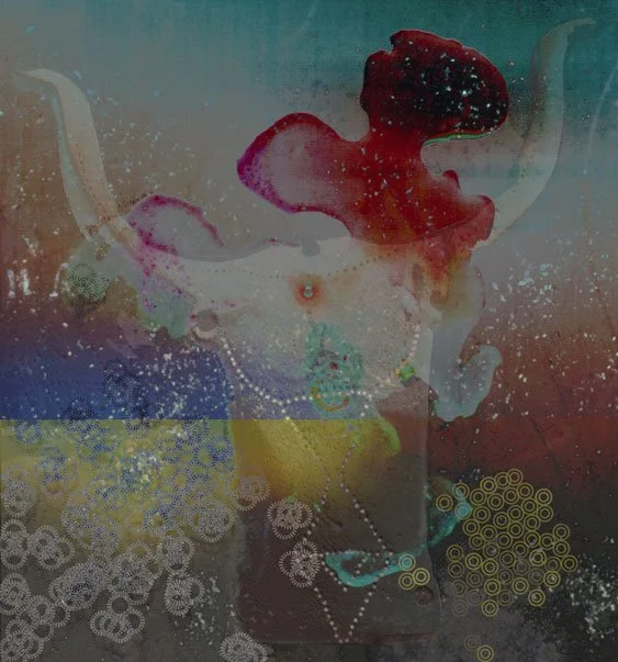 Bucrania 3, 2002-03, Archival pigment print, 24 x 22" (Private Collection)