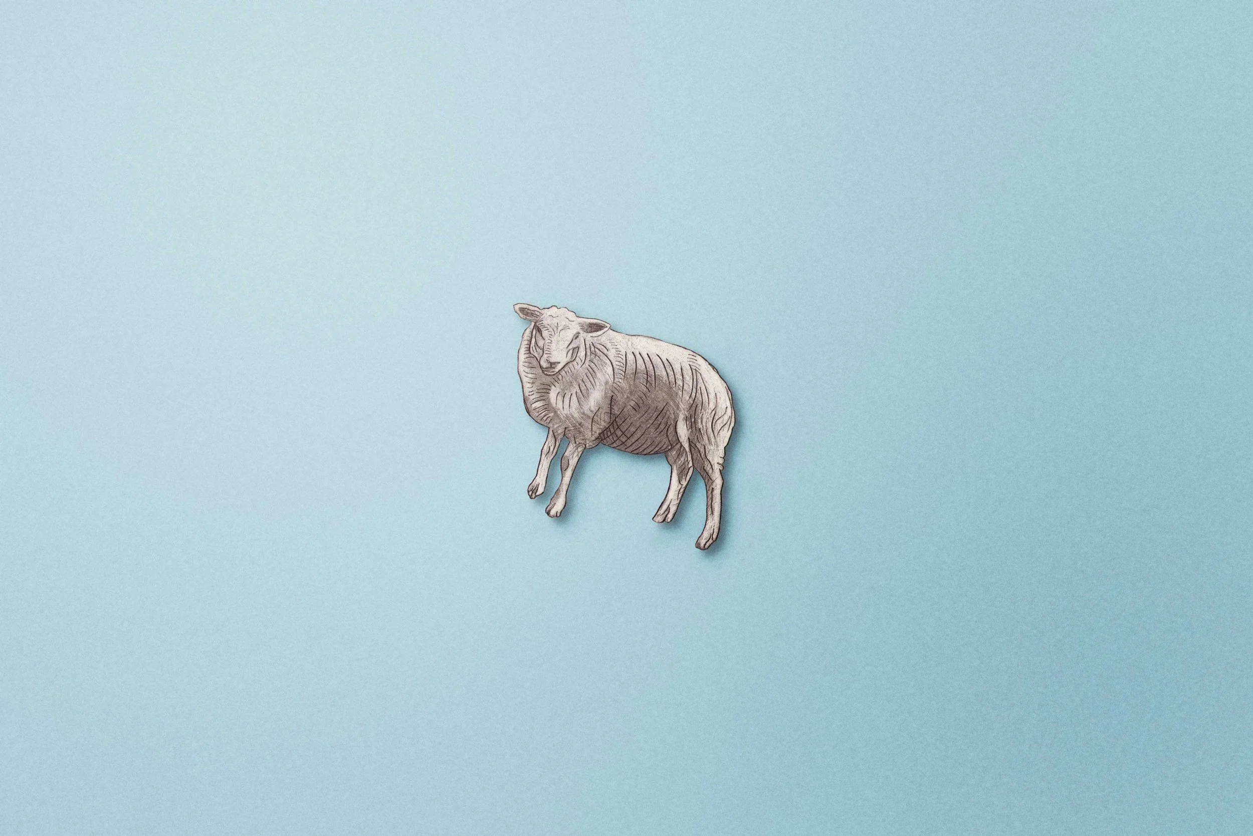 CWK-enamel-pin-sheep.jpg