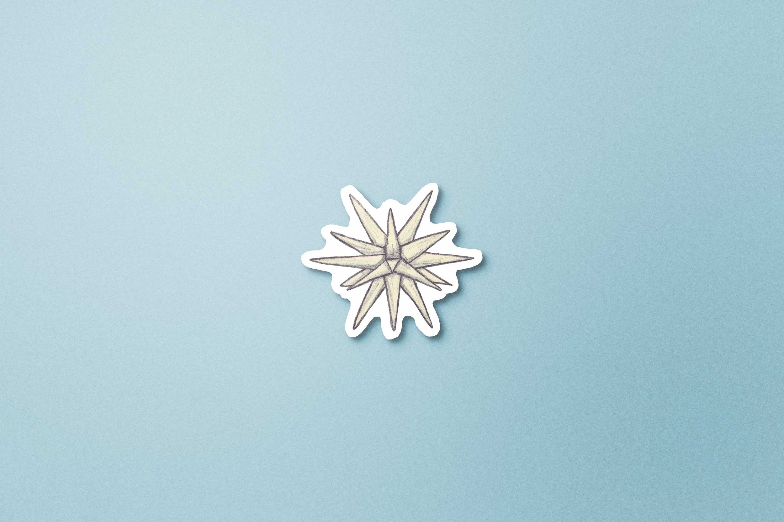 CWK-enamel-pin-star.jpg
