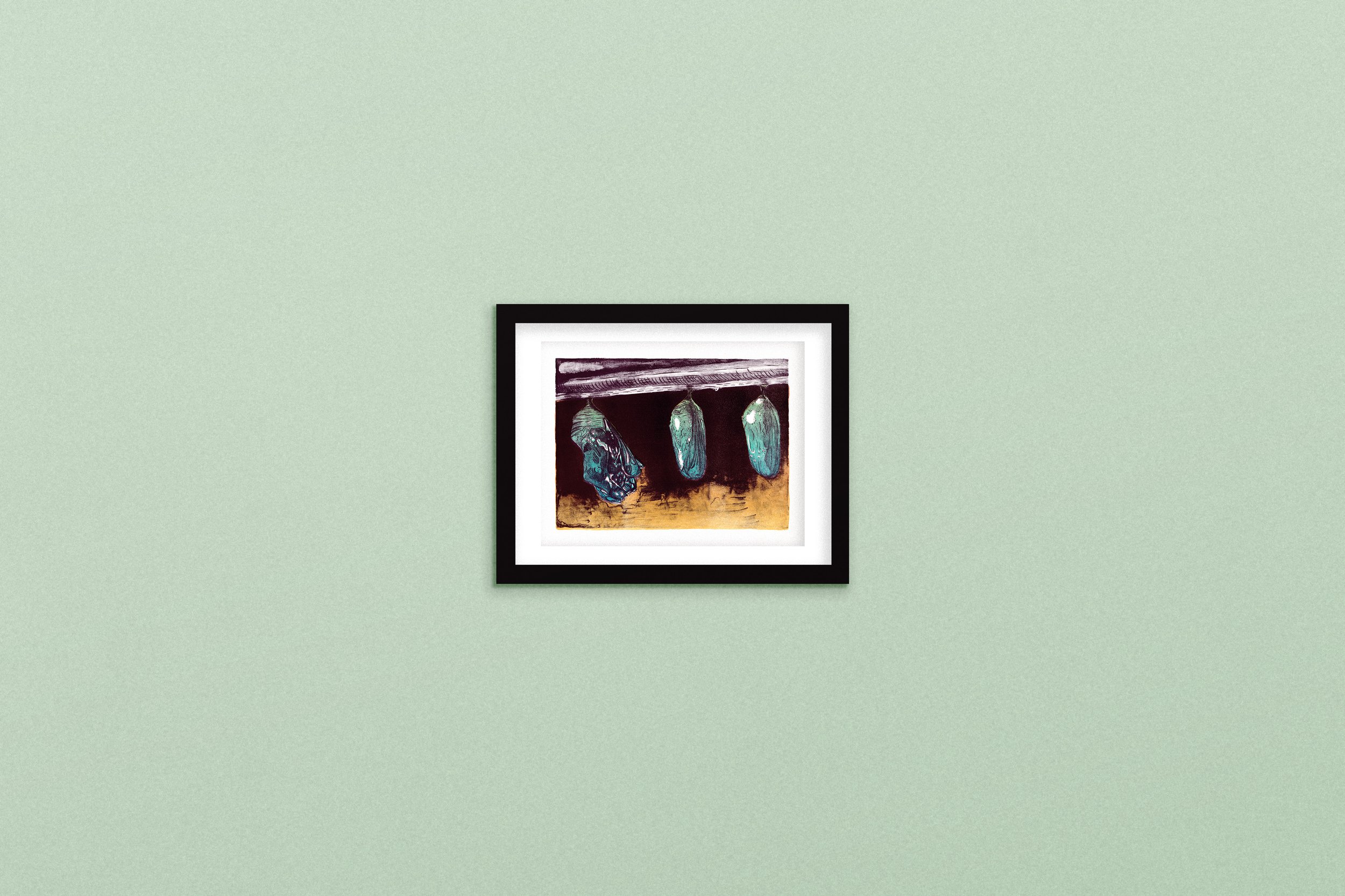 Cocoons-mockup-5x7.jpg