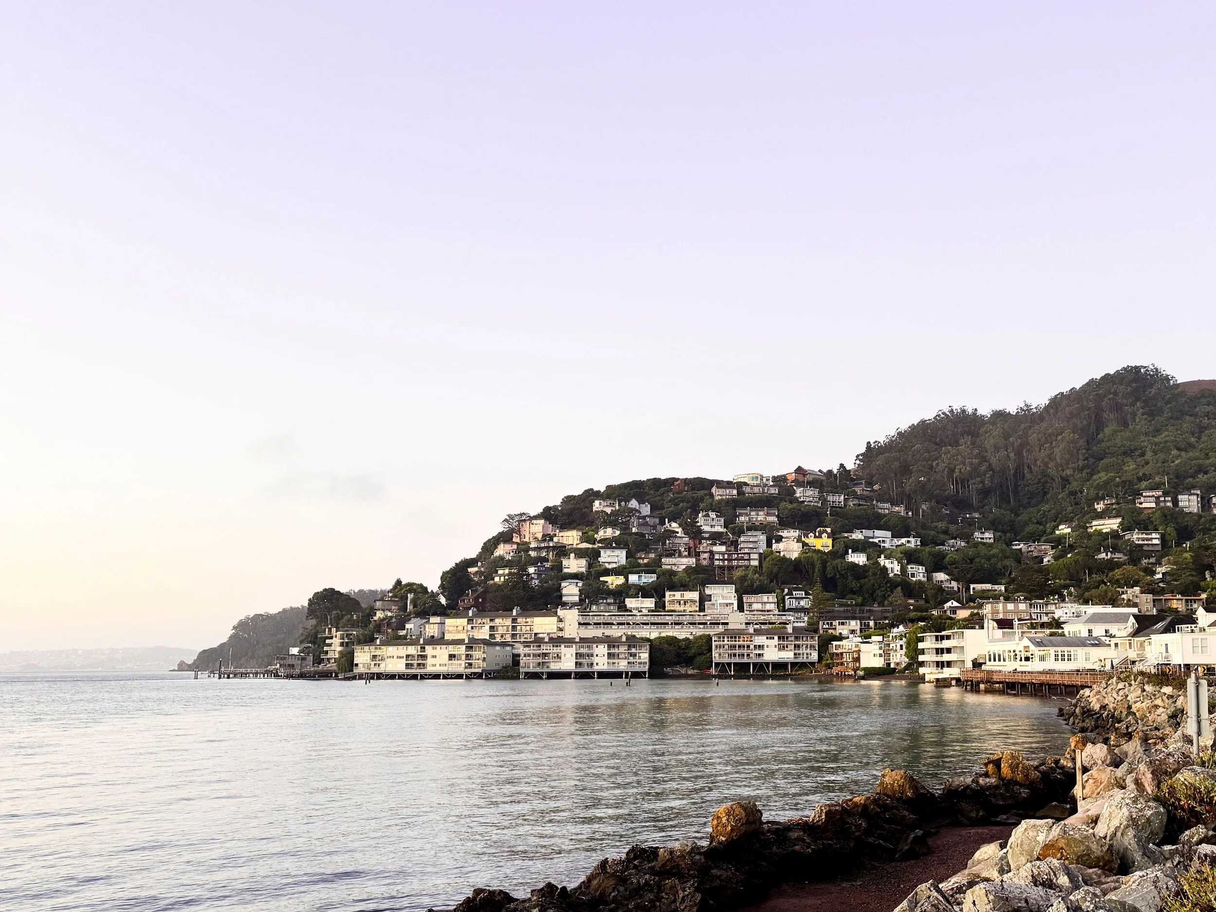 A coastal hillside with modern houses overlooking a body of water, with a rocky shoreline and a pier extending into the water.
