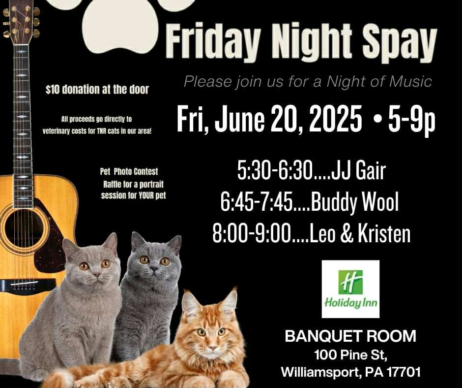 Flyer for a Friday Night Spay event at Holiday Inn in Williamsport, PA, featuring live music performances, pet photo contest, and raffle, with an acoustic guitar, three cats, and event details including date, time, and address.