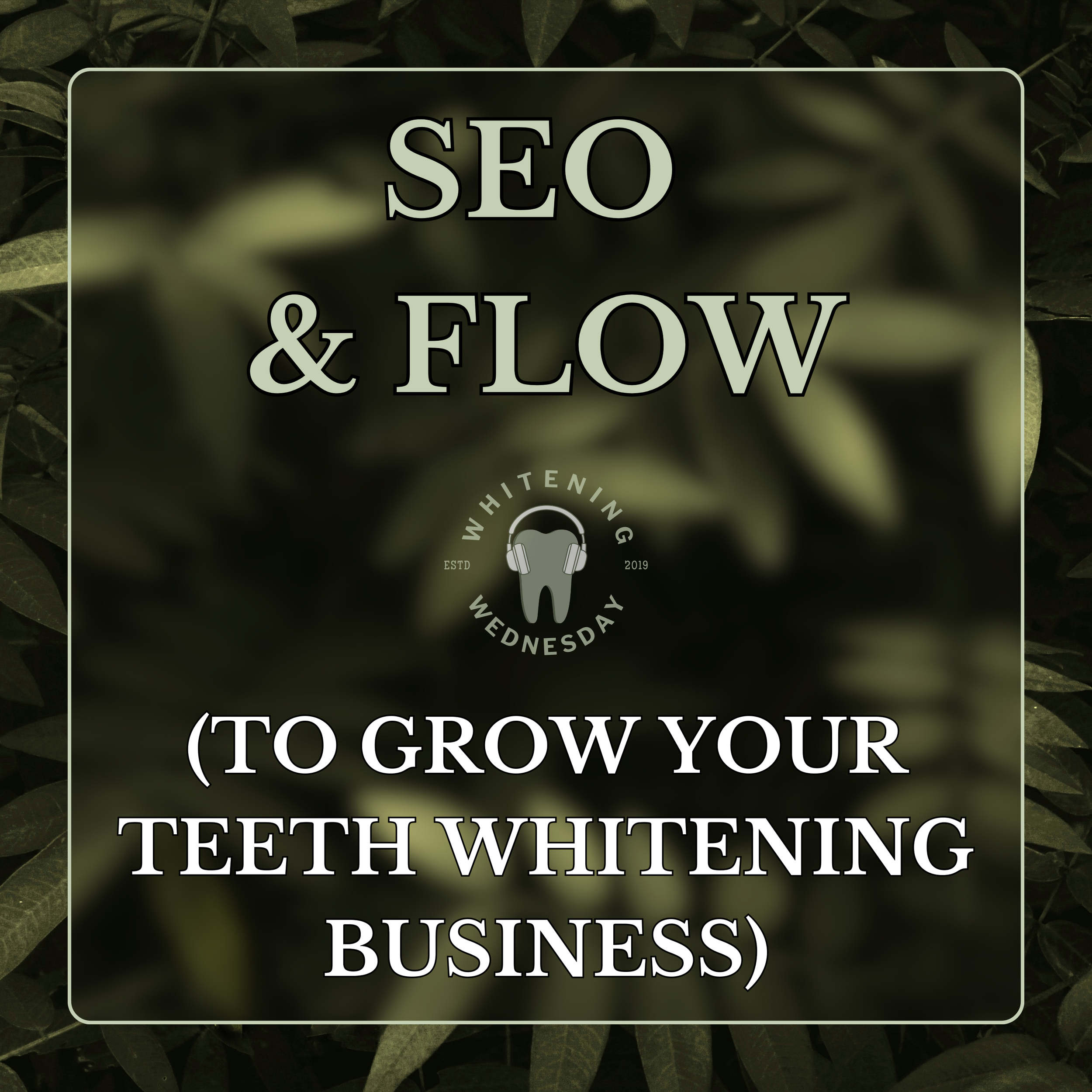 SEO &amp; Flow (To Grow Your Teeth Whitening Business)