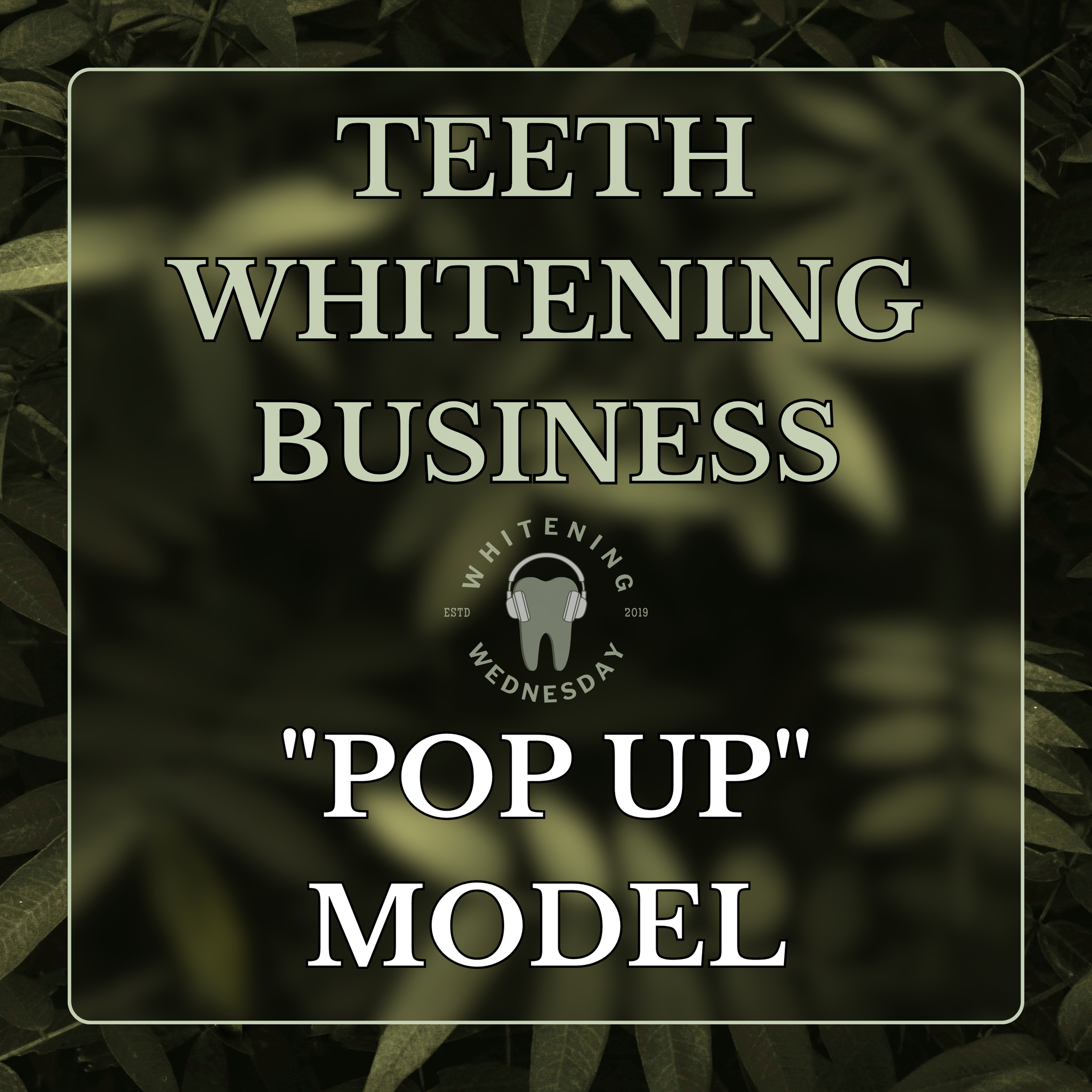 Teeth Whitening Business "Pop Up" Model