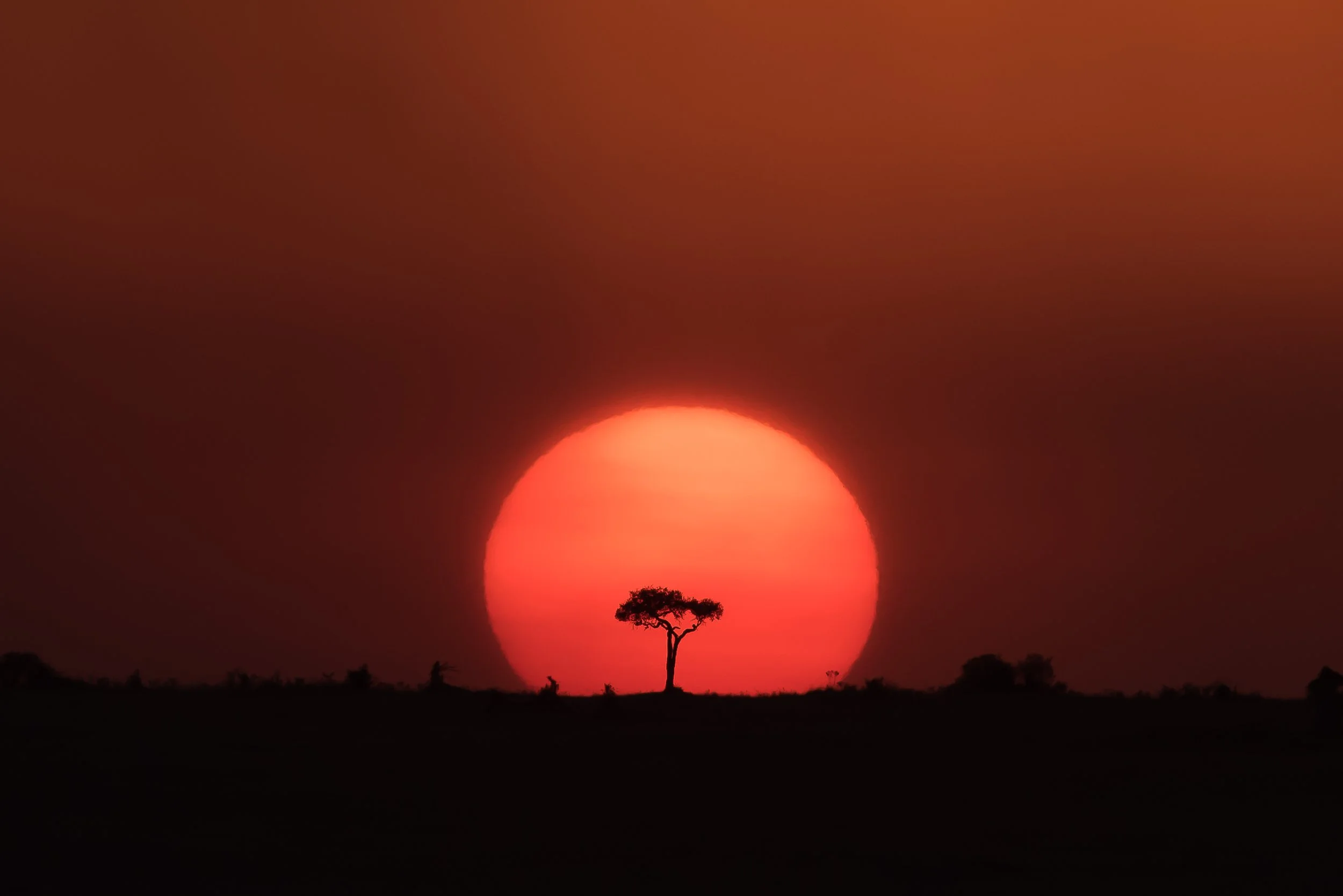 Top Landscape (53 of 98).jpg