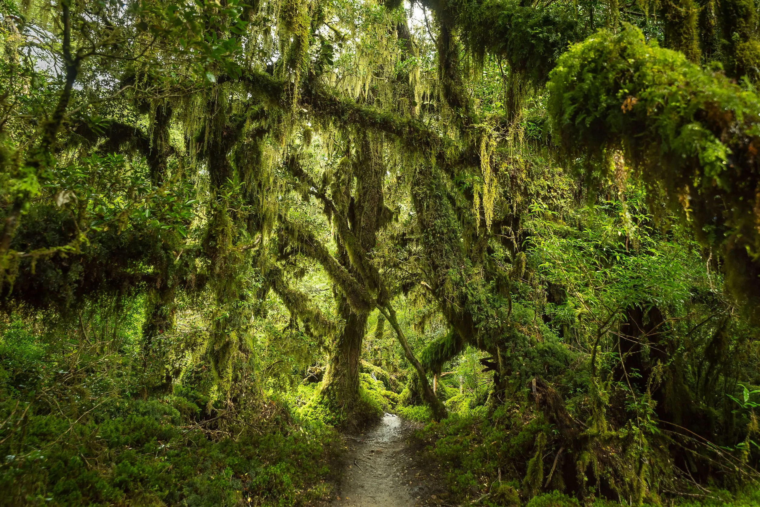 Top Landscape (21 of 98).jpg