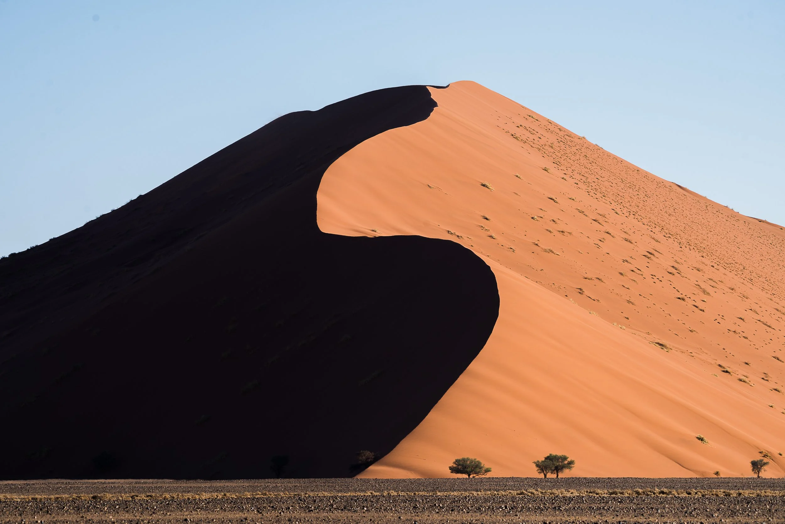 Top Landscape (73 of 98).jpg