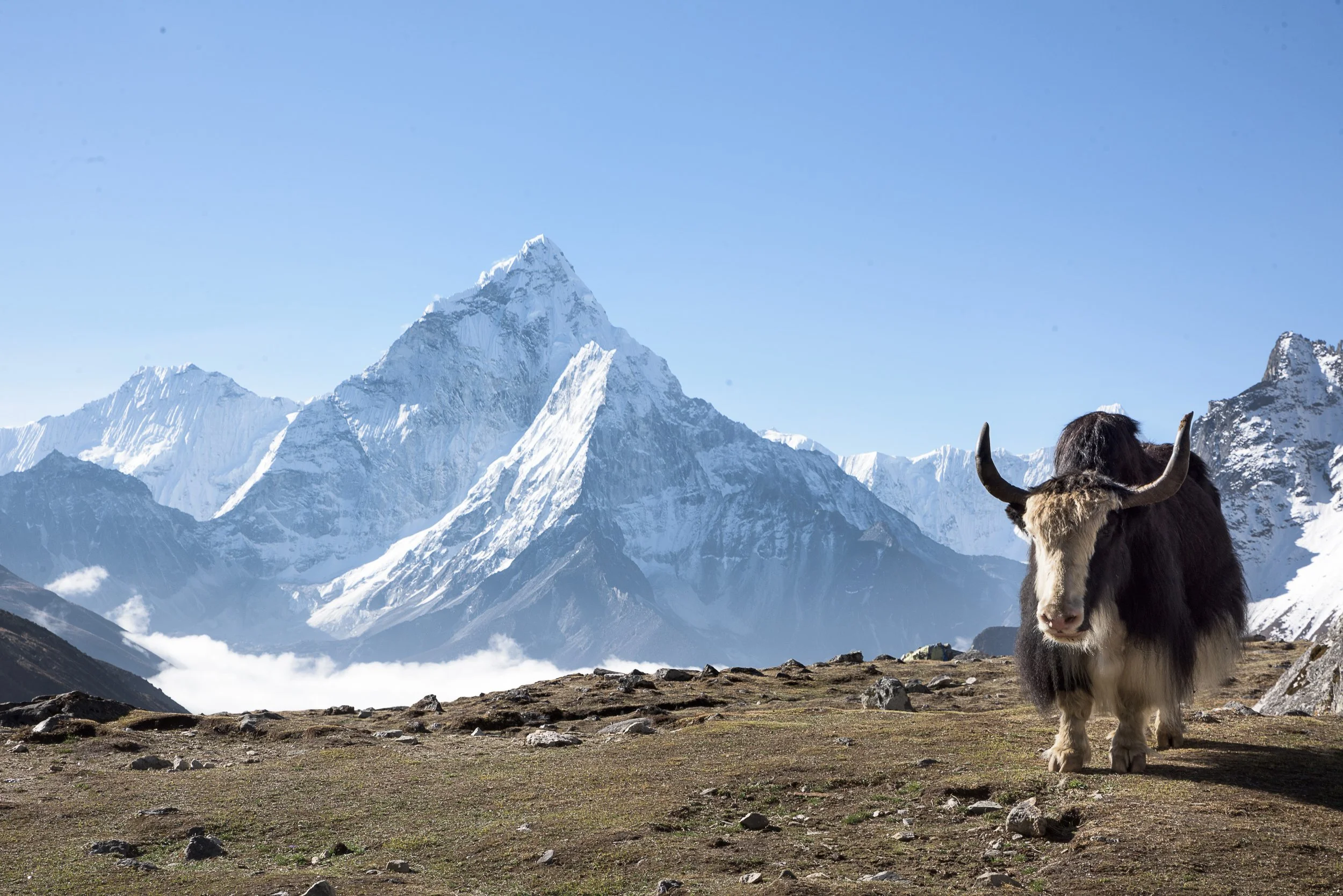 Top Landscape (96 of 98).jpg