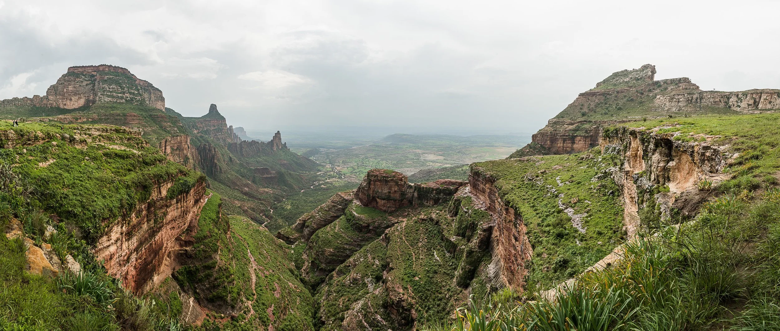 Top Landscape (52 of 98).jpg