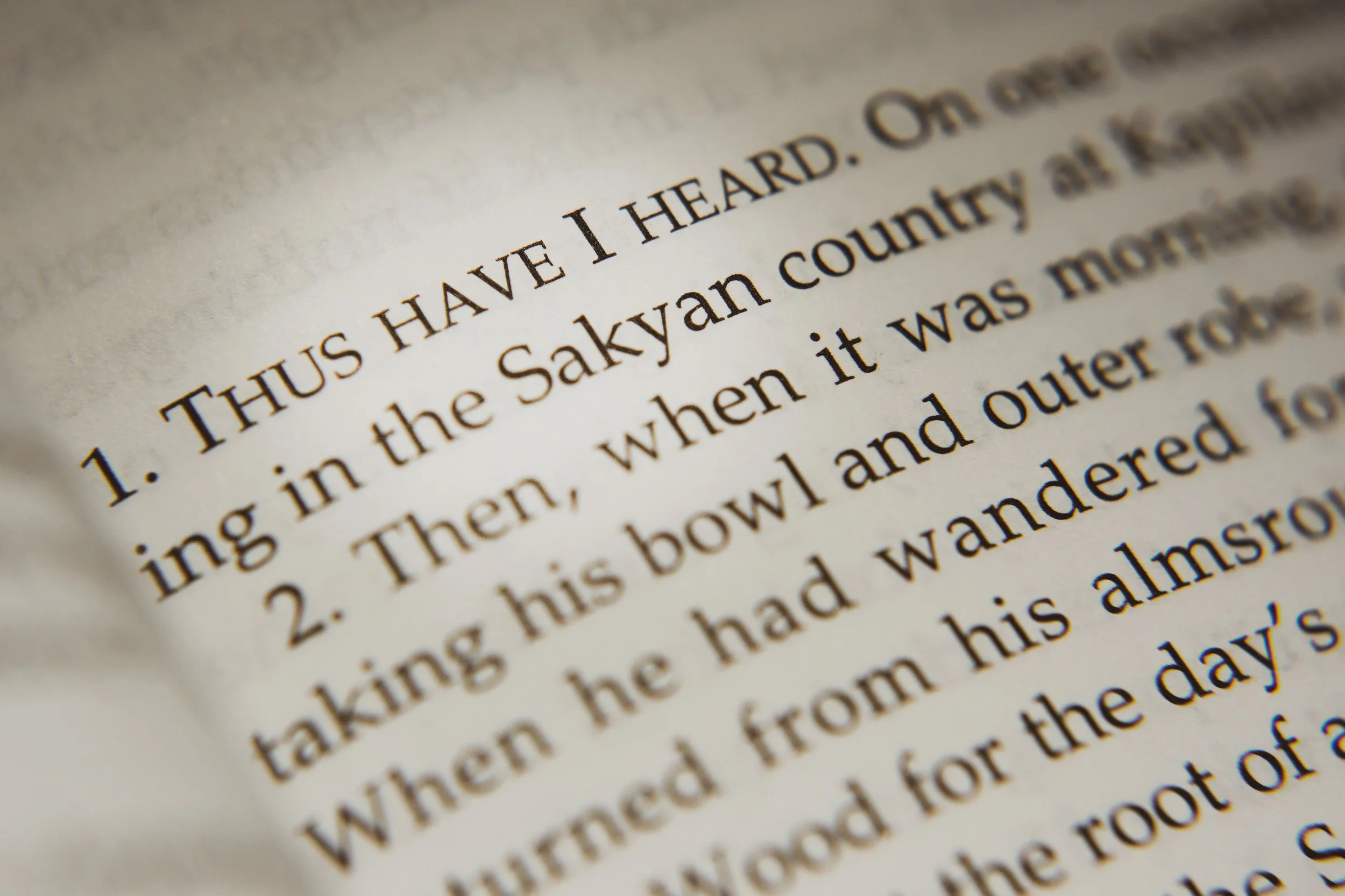 Close-up of a Pali Canon sutta with text, focusing on the words 'HAVE HEARD'.