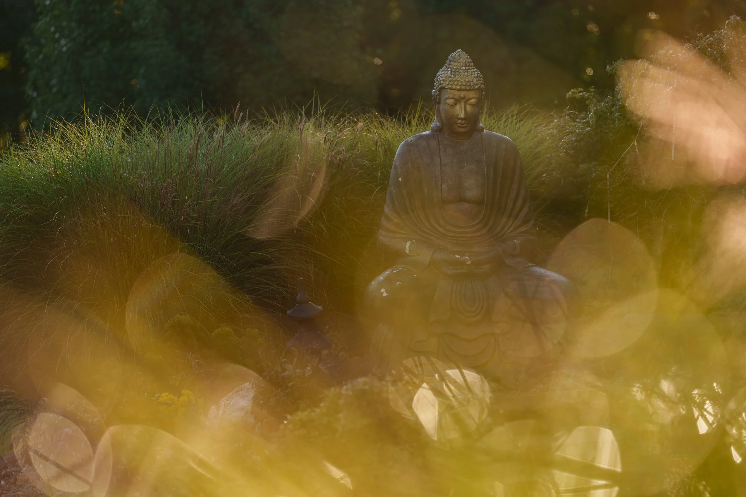 A bronze Buddha statue sitting in meditation among tall grass, with a background of dark green trees and sunlight filtering through.